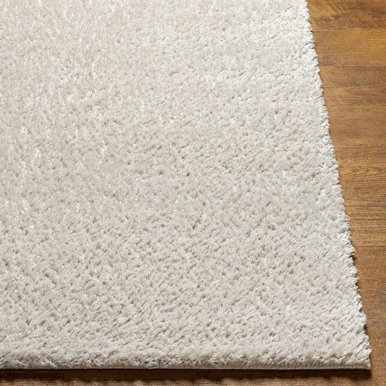 Surya Cloudy Shag Cdg-2307 Rug 6'7" X 9'