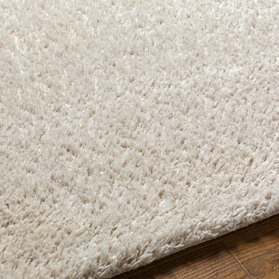 Surya Cloudy Shag Cdg-2307 Rug 6'7" X 9'