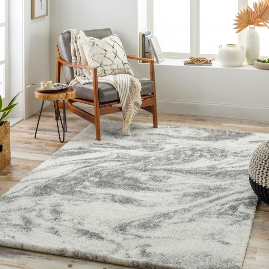 Surya Cloudy Shag Cdg-2308 Rug 5'3" X 7'