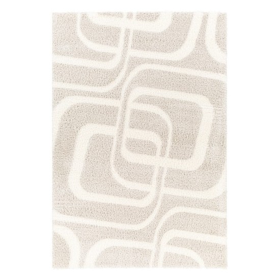 Surya Cloudy Shag Cdg-2309 Rug 5'3" X 7'