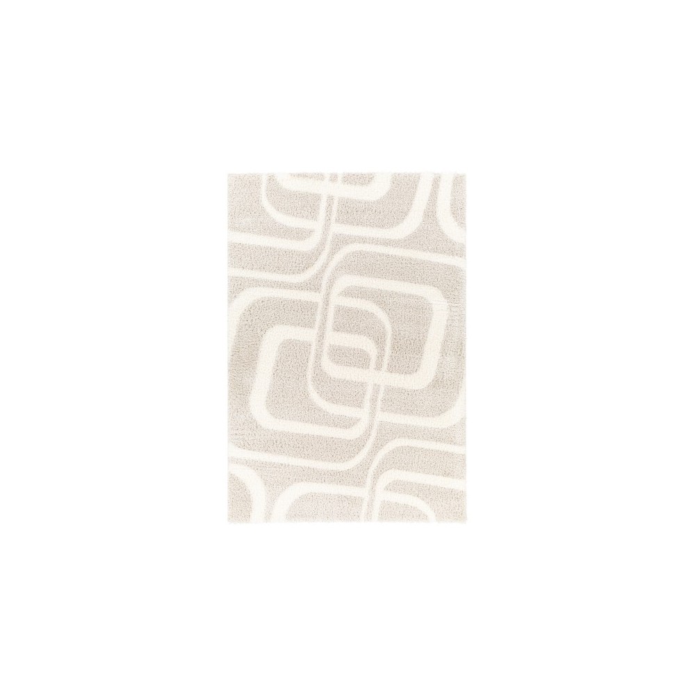 Surya Cloudy Shag Cdg-2309 Rug 5'3" X 7'