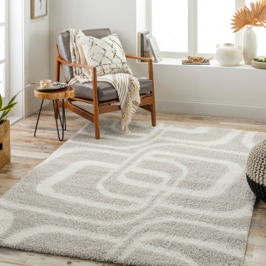 Surya Cloudy Shag Cdg-2309 Rug 5'3" X 7'