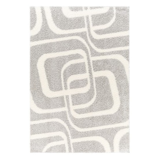 Surya Cloudy Shag Cdg-2310 Rug 5'3" X 7'