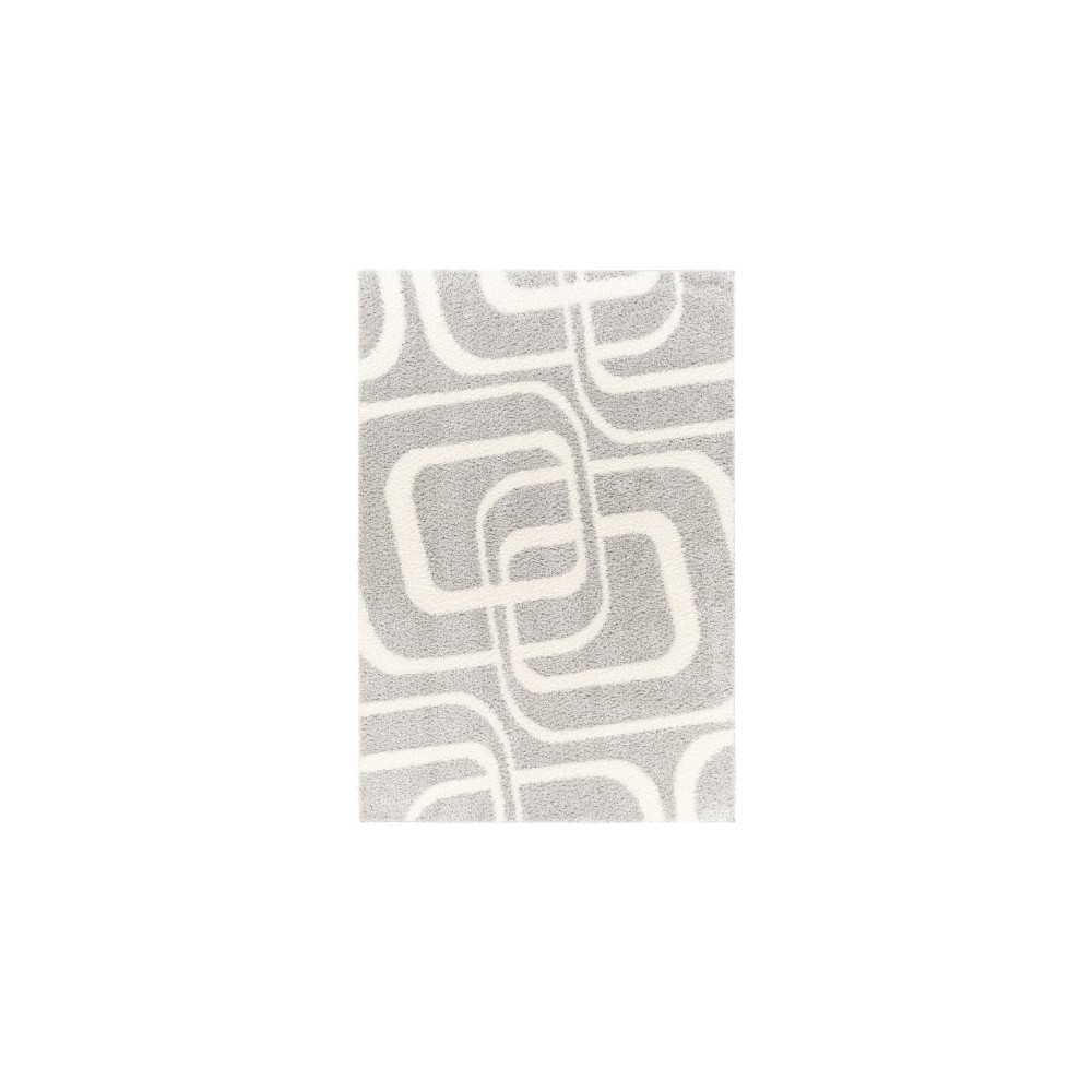 Surya Cloudy Shag Cdg-2310 Rug 5'3" X 7'