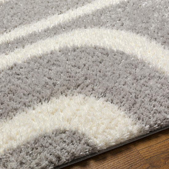 Surya Cloudy Shag Cdg-2310 Rug 5'3" X 7'