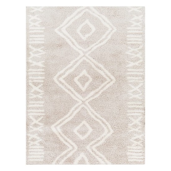 Surya Cloudy Shag Cdg-2311 Rug 5'3" X 7'