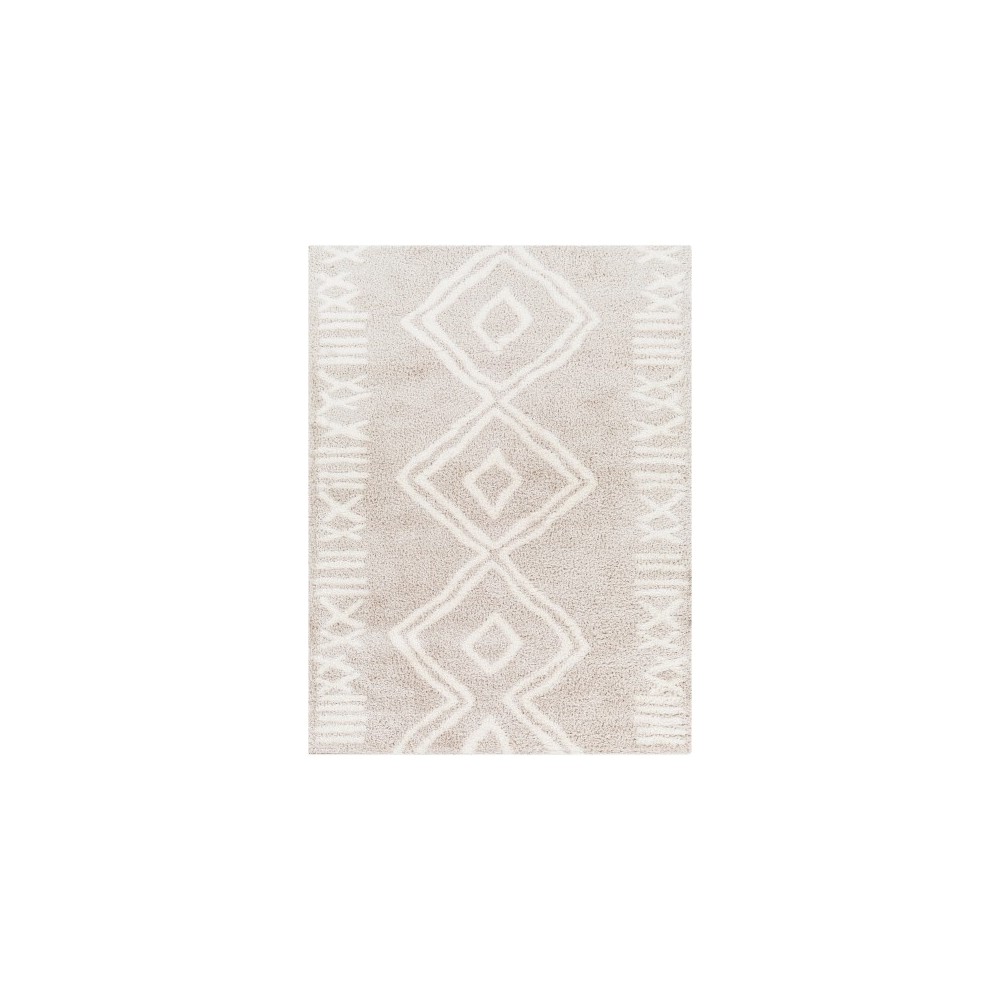 Surya Cloudy Shag Cdg-2311 Rug 5'3" X 7'