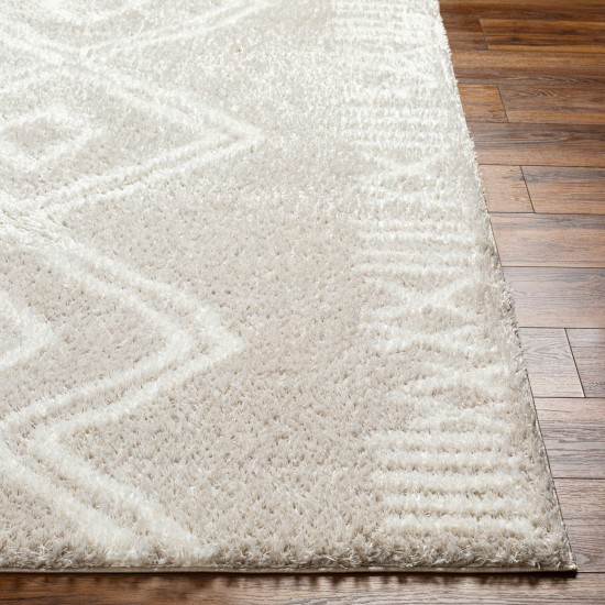 Surya Cloudy Shag Cdg-2311 Rug 5'3" X 7'