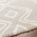 Surya Cloudy Shag Cdg-2311 Rug 5'3" X 7'