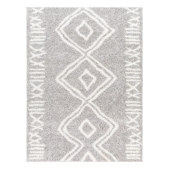 Surya Cloudy Shag Cdg-2312 Rug 5'3" X 7'