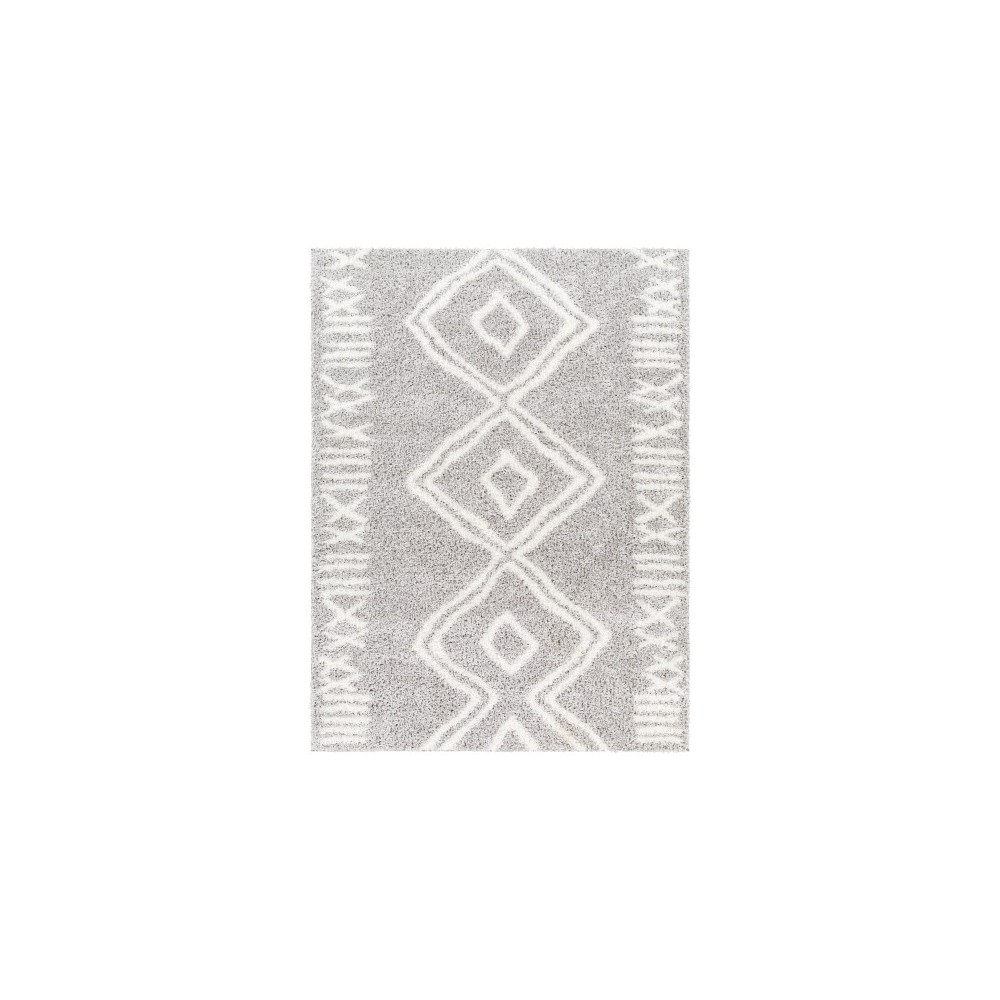 Surya Cloudy Shag Cdg-2312 Rug 5'3" X 7'