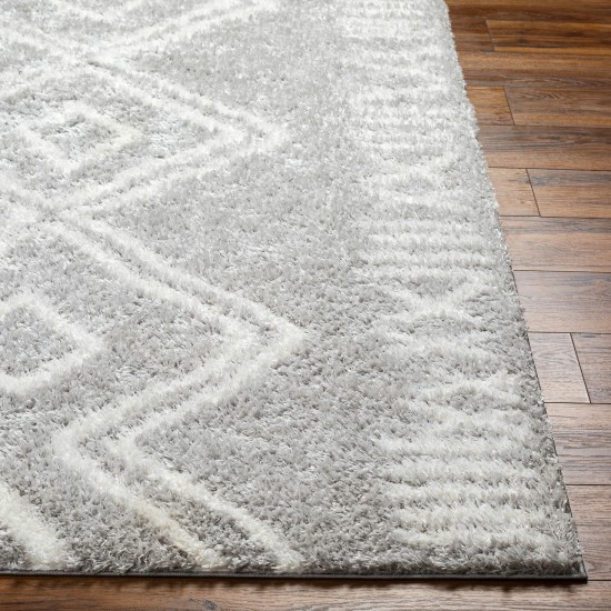 Surya Cloudy Shag Cdg-2312 Rug 5'3" X 7'