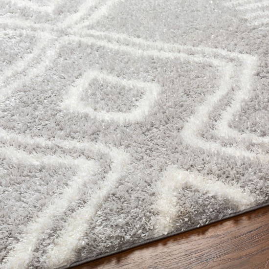 Surya Cloudy Shag Cdg-2312 Rug 5'3" X 7'