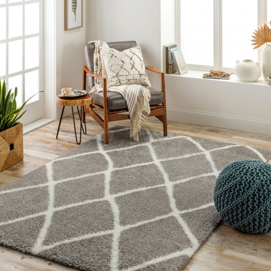 Surya Cloudy Shag Cdg-2313 Rug 5'3" X 7'