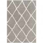 Surya Cloudy Shag Cdg-2313 Rug 6'7" X 9'