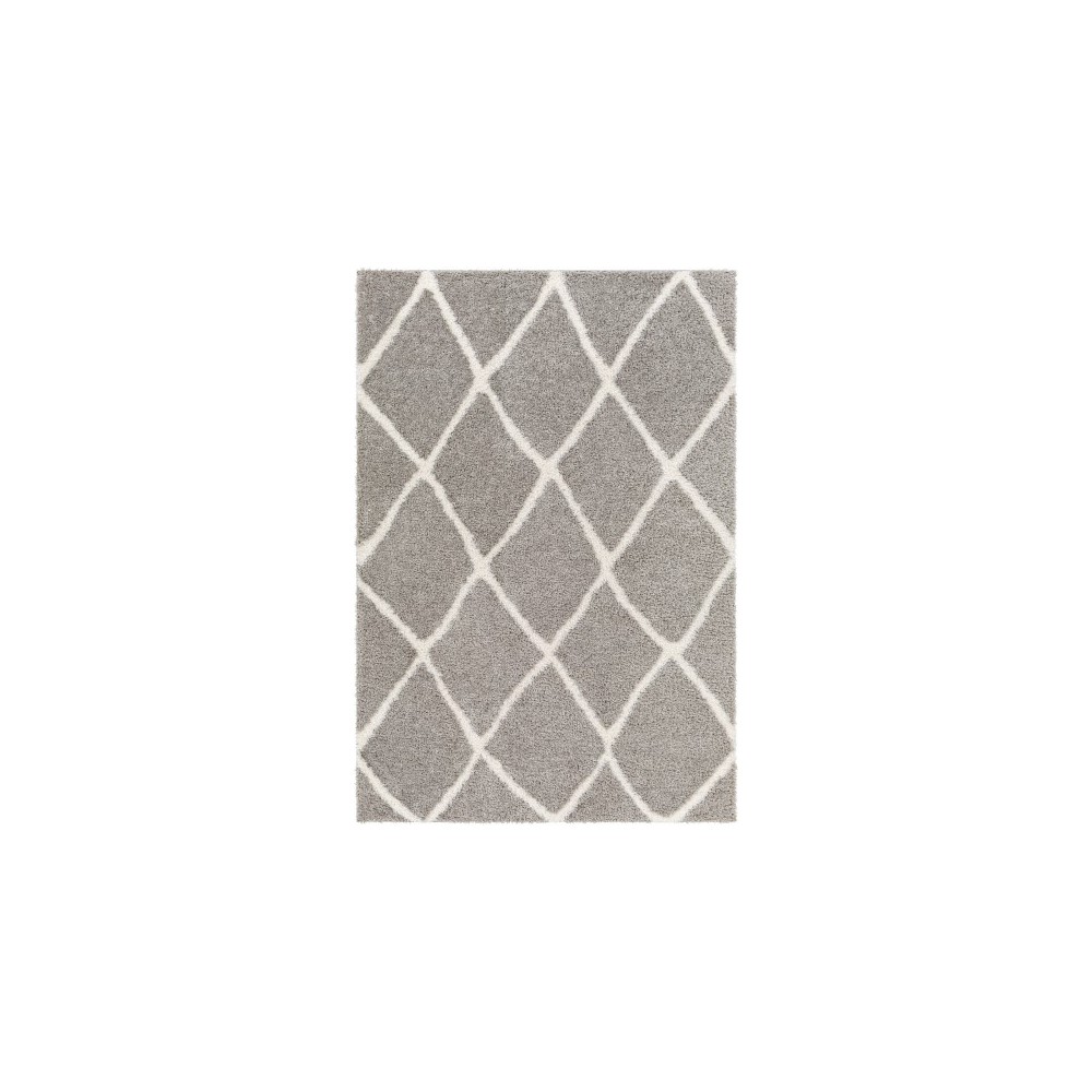 Surya Cloudy Shag Cdg-2313 Rug 6'7" X 9'