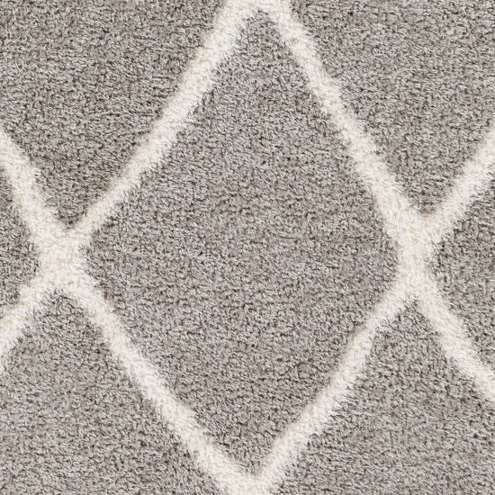 Surya Cloudy Shag Cdg-2313 Rug 6'7" X 9'