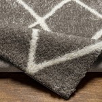 Surya Cloudy Shag Cdg-2313 Rug 7'10" X 10'