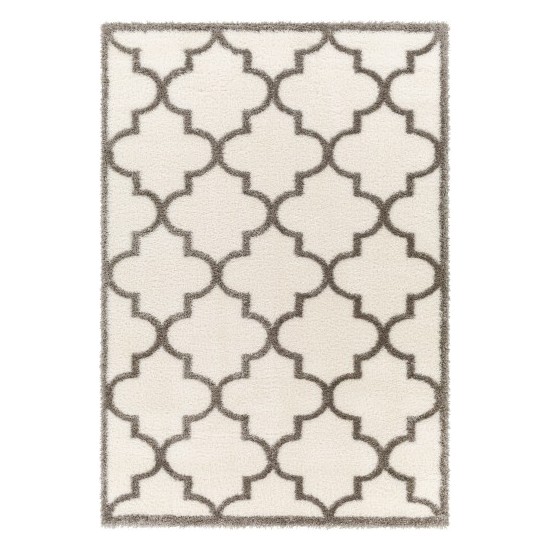 Surya Cloudy Shag Cdg-2314 Rug 5'3" X 7'