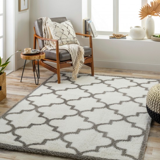 Surya Cloudy Shag Cdg-2314 Rug 5'3" X 7'