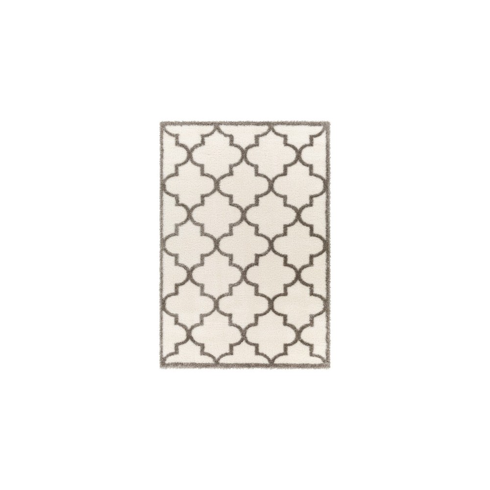 Surya Cloudy Shag Cdg-2314 Rug 6'7" X 9'