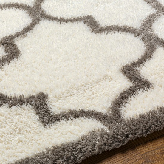 Surya Cloudy Shag Cdg-2314 Rug 6'7" X 9'