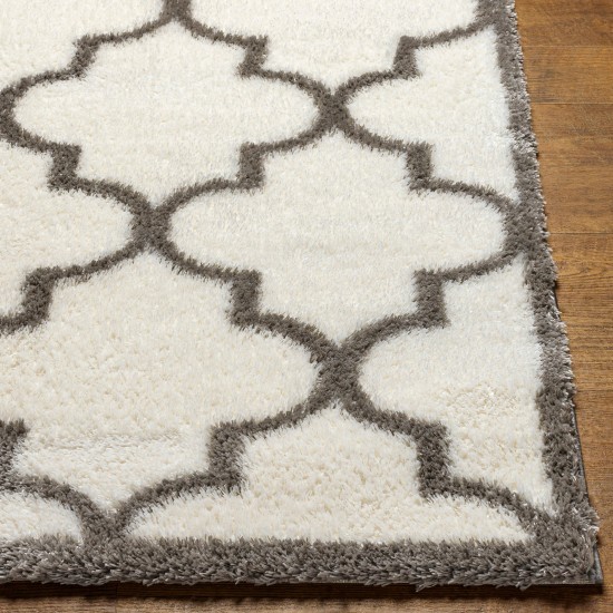 Surya Cloudy Shag Cdg-2314 Rug 7'10" X 10'