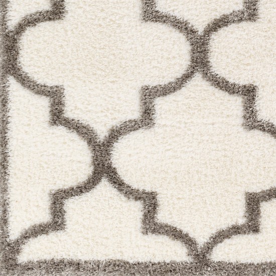Surya Cloudy Shag Cdg-2314 Rug 7'10" X 10'