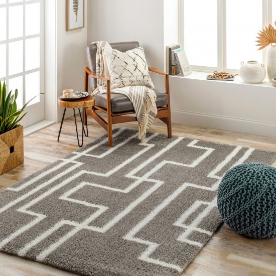 Surya Cloudy Shag Cdg-2315 Rug 5'3" X 7'