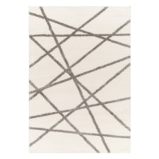 Surya Cloudy Shag Cdg-2316 Rug 5'3" X 7'