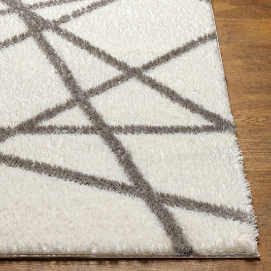 Surya Cloudy Shag Cdg-2316 Rug 7'10" X 10'