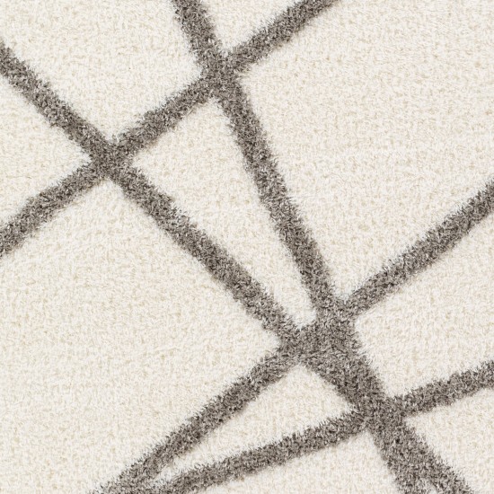 Surya Cloudy Shag Cdg-2316 Rug 7'10" X 10'