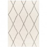 Surya Cloudy Shag Cdg-2317 Rug 5'3" X 7'