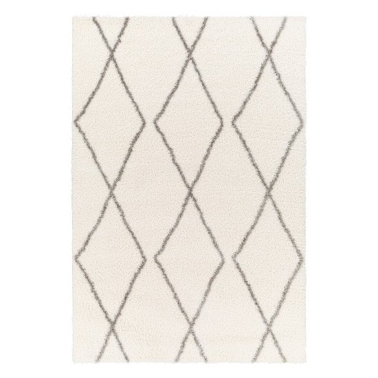 Surya Cloudy Shag Cdg-2317 Rug 5'3" X 7'