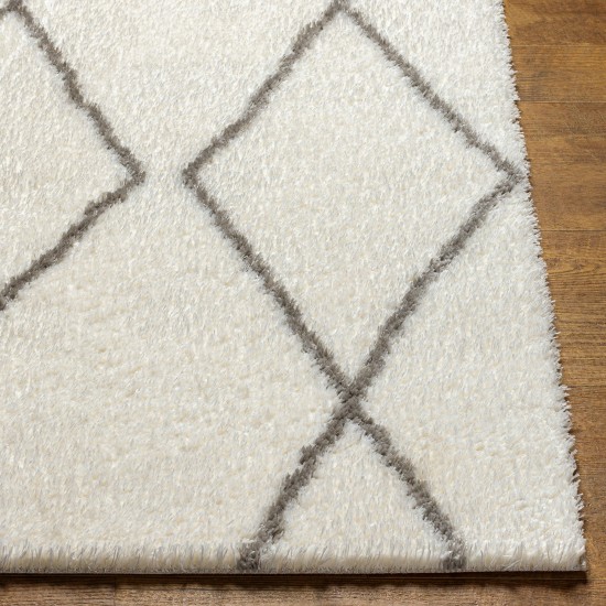 Surya Cloudy Shag Cdg-2317 Rug 5'3" X 7'