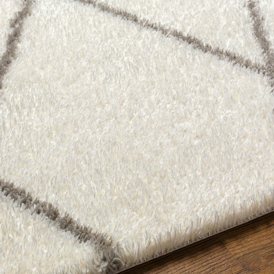 Surya Cloudy Shag Cdg-2317 Rug 5'3" X 7'