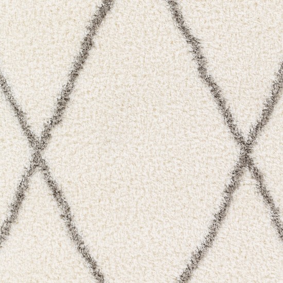 Surya Cloudy Shag Cdg-2317 Rug 6'7" X 9'