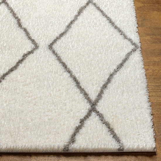 Surya Cloudy Shag Cdg-2317 Rug 7'10" X 10'