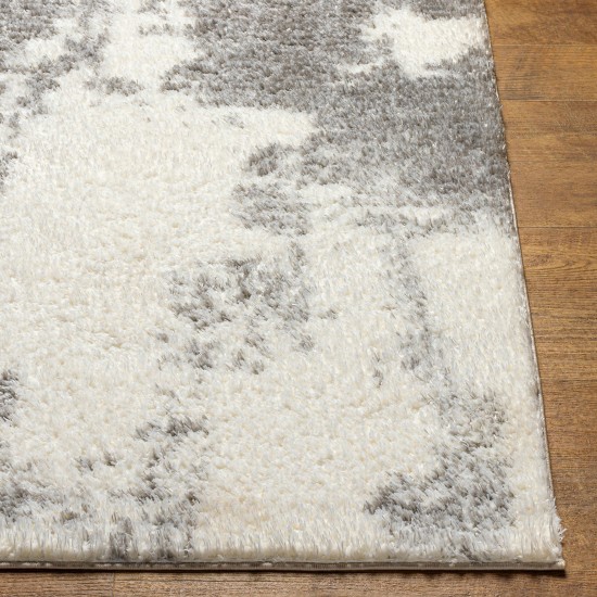 Surya Cloudy Shag Cdg-2318 Rug 5'3" X 7'