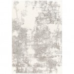 Surya Cloudy Shag Cdg-2318 Rug 6'7" X 9'