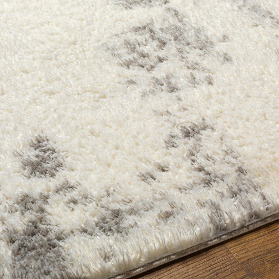 Surya Cloudy Shag Cdg-2318 Rug 6'7" X 9'