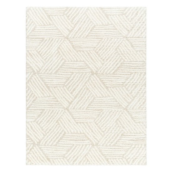 Surya Cloudy Shag Cdg-2319 Rug 5'3" X 7'