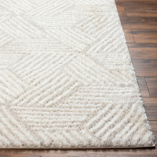 Surya Cloudy Shag Cdg-2319 Rug 5'3" X 7'