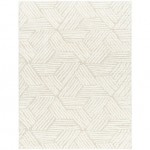 Surya Cloudy Shag Cdg-2319 Rug 7'10" X 10'