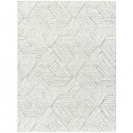 Surya Cloudy Shag Cdg-2320 Rug 5'3" X 7'