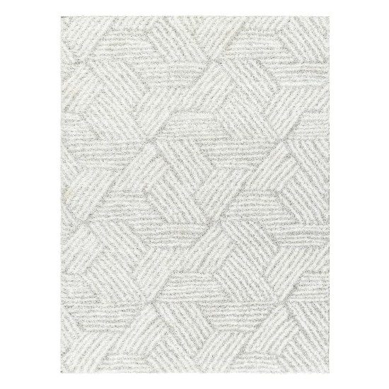 Surya Cloudy Shag Cdg-2320 Rug 5'3" X 7'