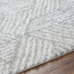 Surya Cloudy Shag Cdg-2320 Rug 5'3" X 7'