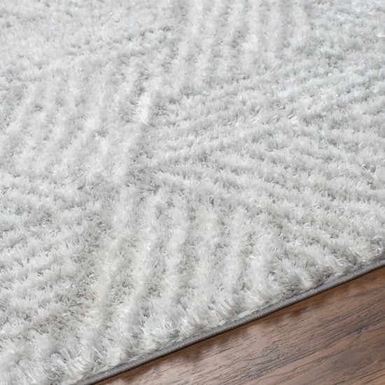 Surya Cloudy Shag Cdg-2320 Rug 5'3" X 7'