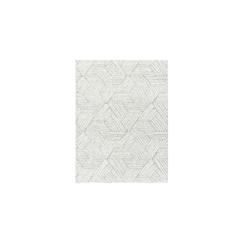 Surya Cloudy Shag Cdg-2320 Rug 6'7" X 9'