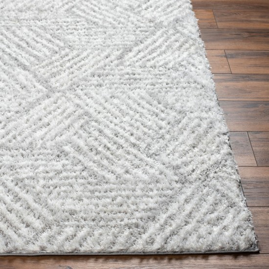 Surya Cloudy Shag Cdg-2320 Rug 6'7" X 9'